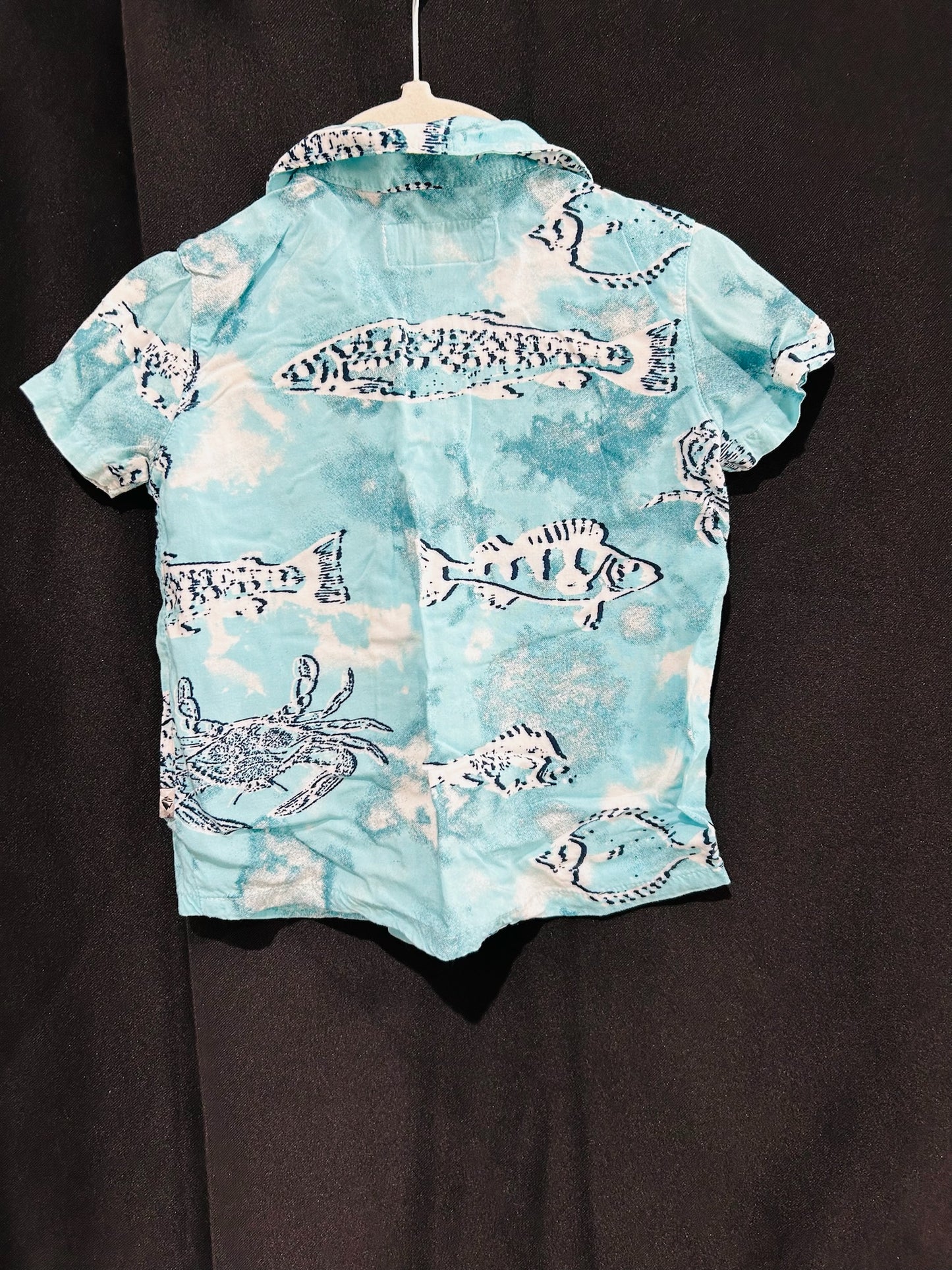 Ocean Coast Collared Button Polo, 12 months